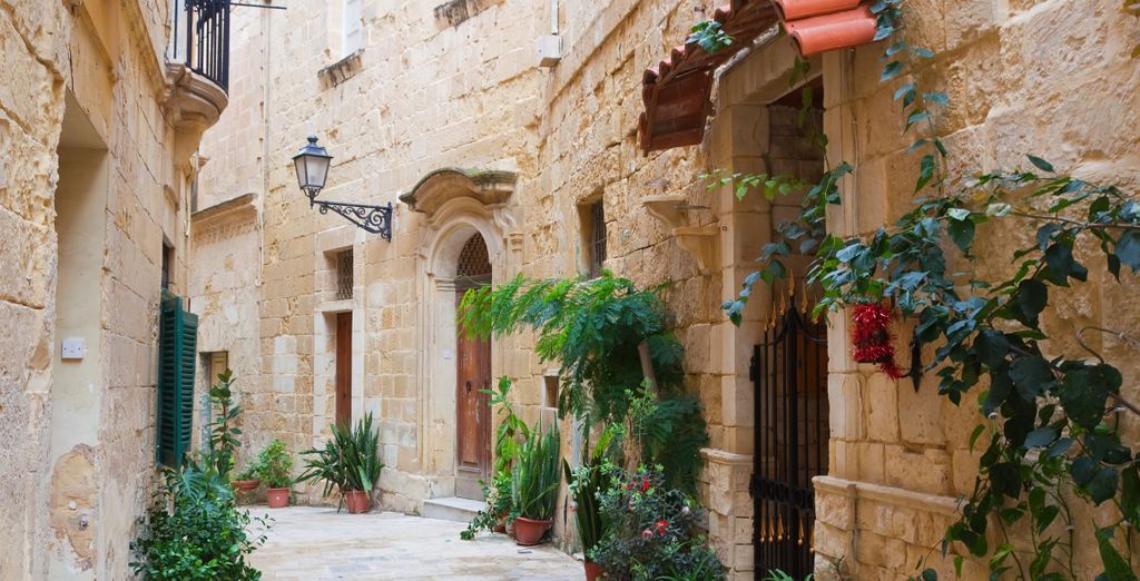 Tour di gruppo: Le ricchezze dell'arcipelago maltese
