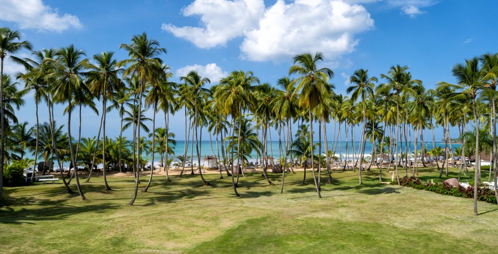 Viva Wyndham V Samana 5* - Adults Only