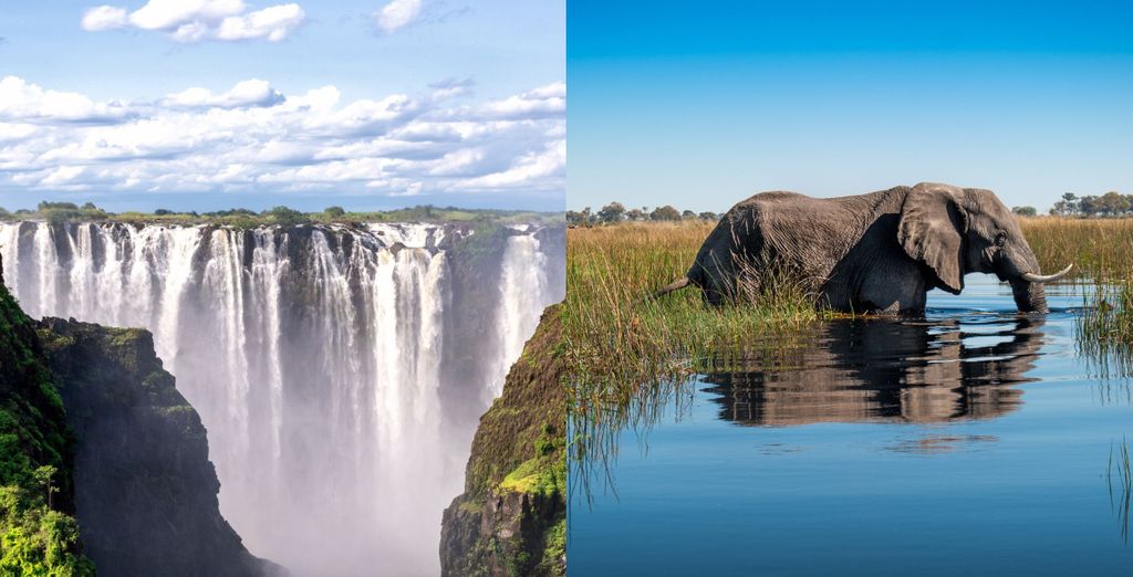 Rundreise: Von den Victoria Falls nach Botswana