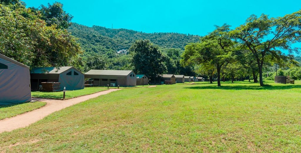 Safari al Lions Rock River Lodge