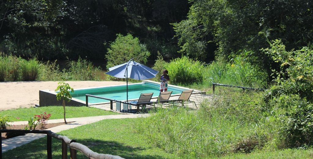 Safari al Lions Rock River Lodge