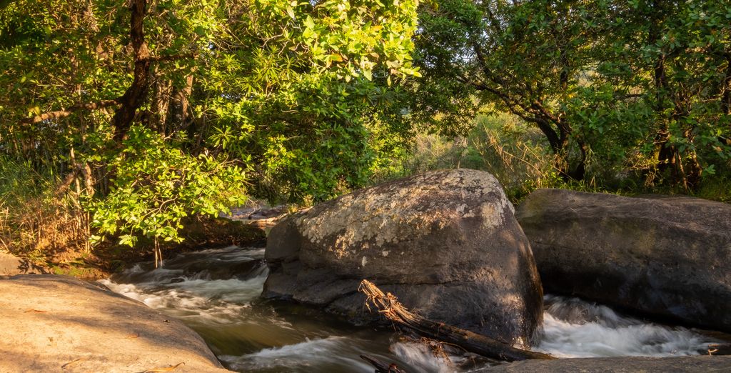 Safari al Lions Rock River Lodge
