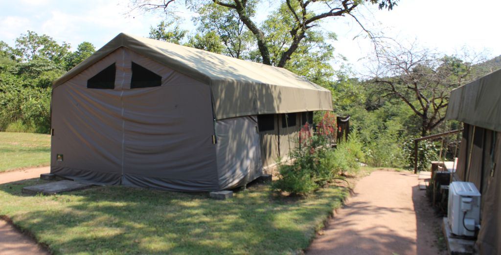 Safari al Lions Rock River Lodge