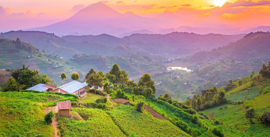 Circuit privé : Voyage au Rwanda et en Ouganda 