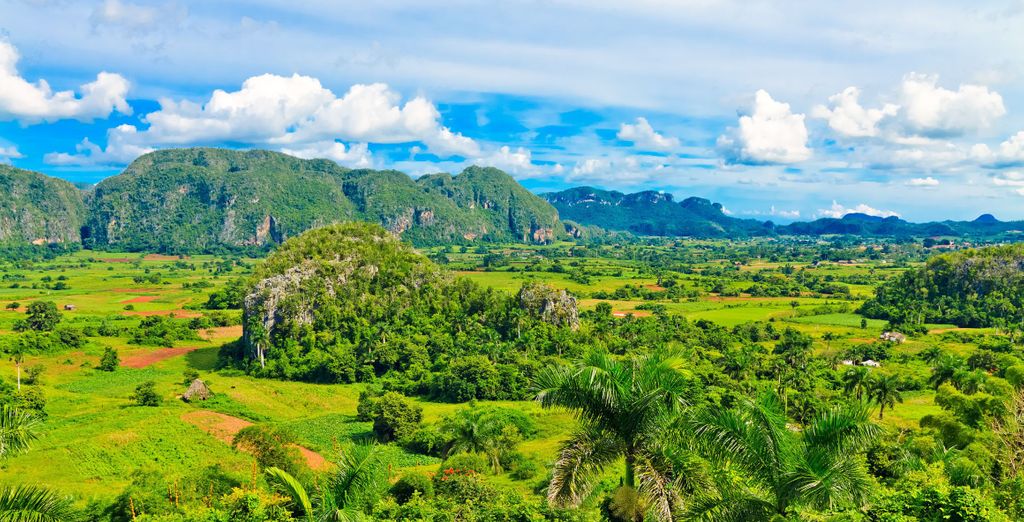 Tour di gruppo: L'irresistibile fascino cubano
