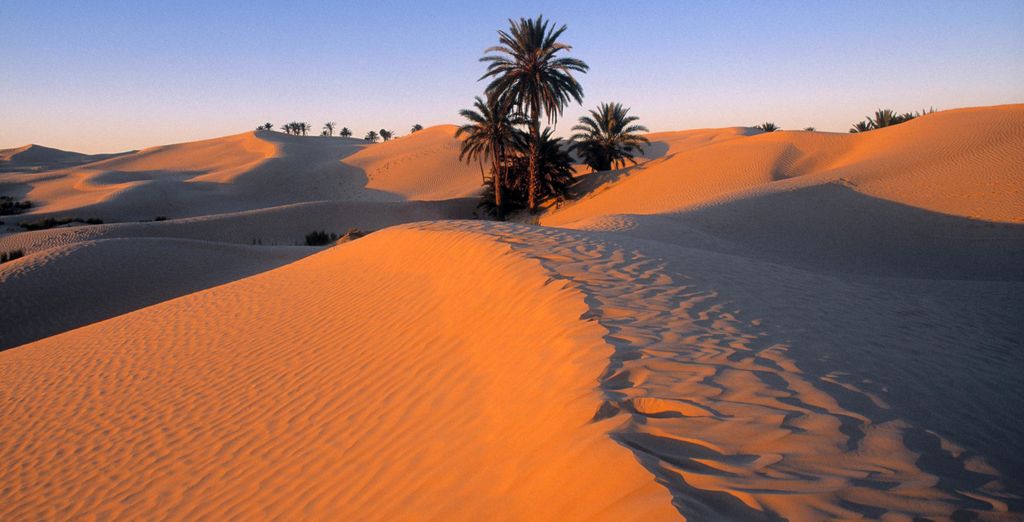 Circuit en groupe : Rose des sables