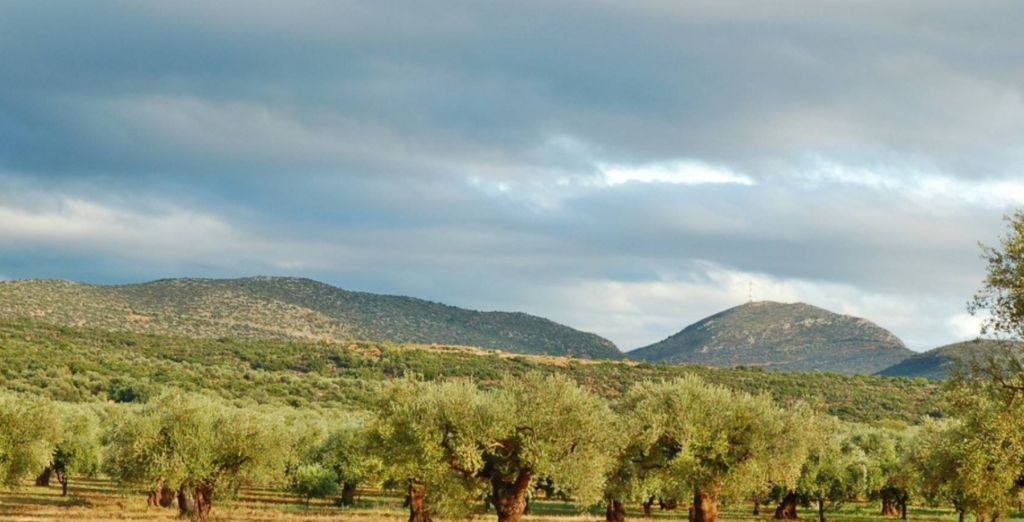 Eumelia Organic Agrotourism Farm