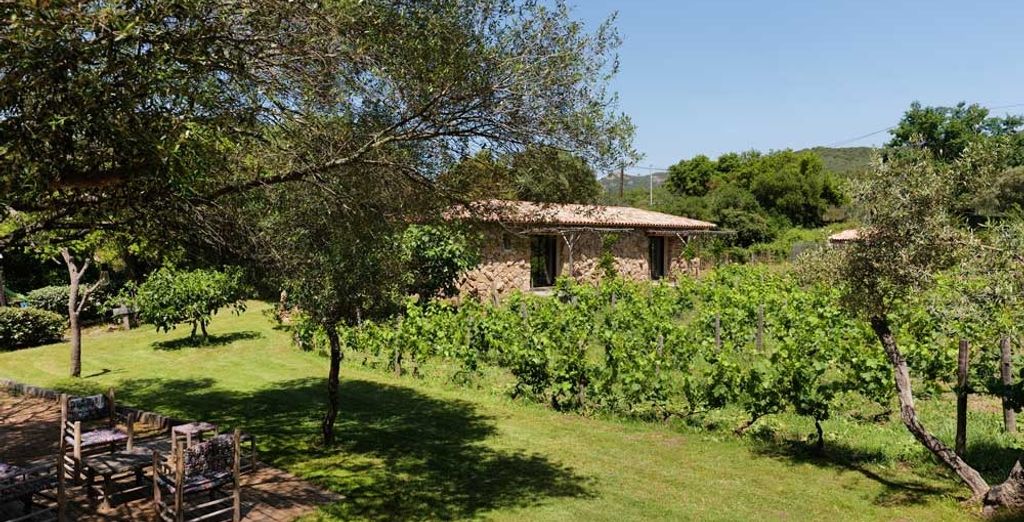 Domaine Pozzo di Mastri 4*
