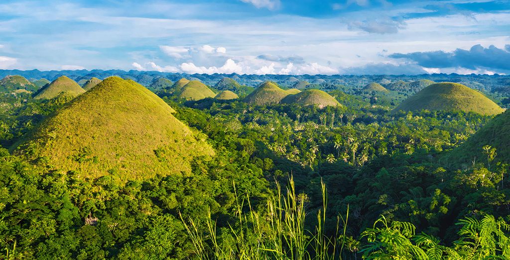 Tour privato "Avventura nelle Visayas"