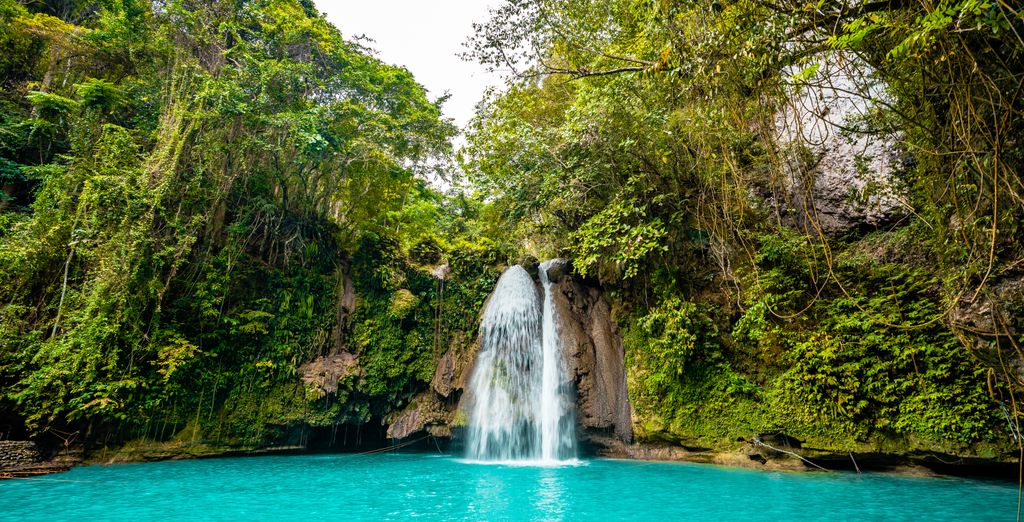 Tour privato "Avventura nelle Visayas"