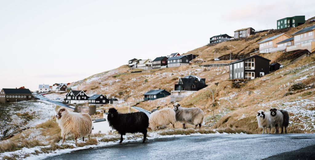 Alla scoperta delle Isole Faroe con possibile estensione a Copenaghen