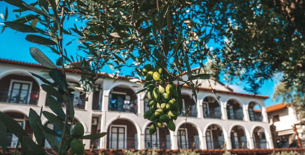 Castelli Hotel 4* - Adults Only