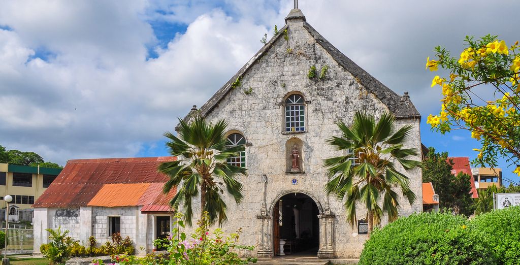 Tour privato "Avventura nelle Visayas"