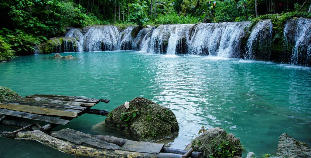 Tour privato "Avventura nelle Visayas"