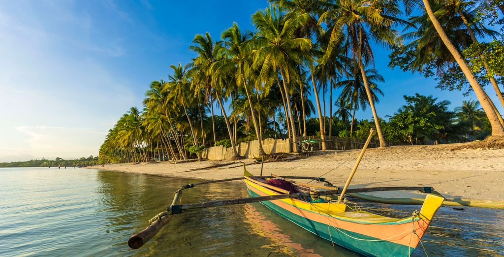 Tour privato "Avventura nelle Visayas"