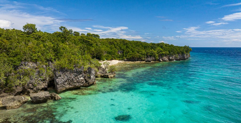 Tour privato "Avventura nelle Visayas"