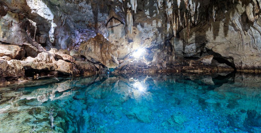 Tour privato "Avventura nelle Visayas"