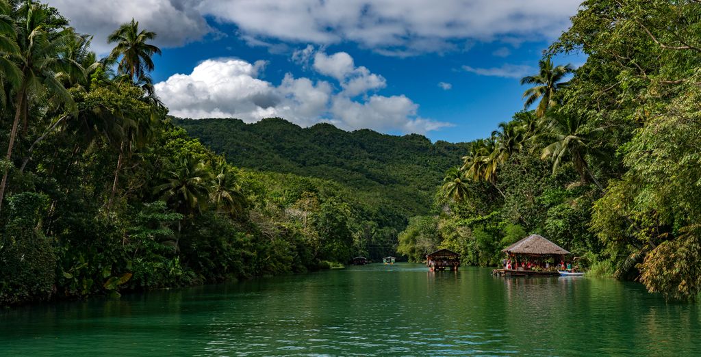 Tour privato "Avventura nelle Visayas"