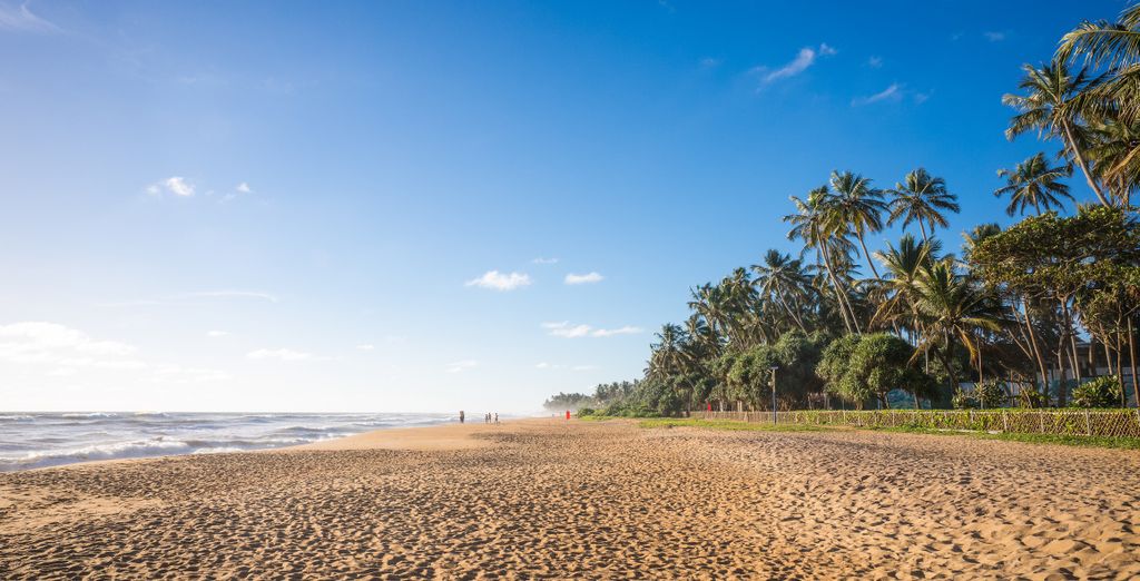 Tour privato "Le ricchezze dello Sri Lanka"