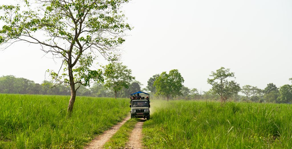 Tour privato "I punti salienti del Nepal"