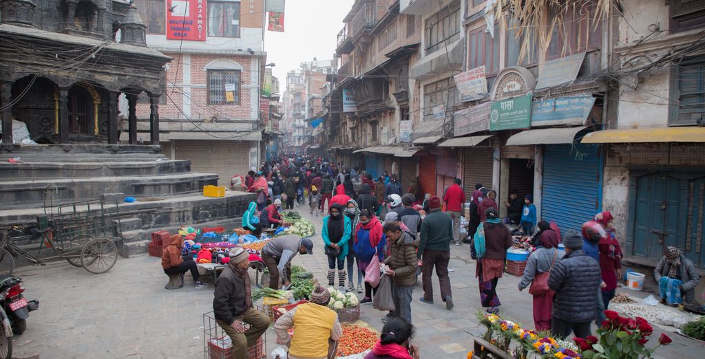 Tour privato "I punti salienti del Nepal"