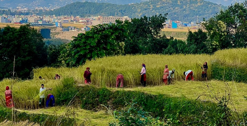 Tour privato "I punti salienti del Nepal"