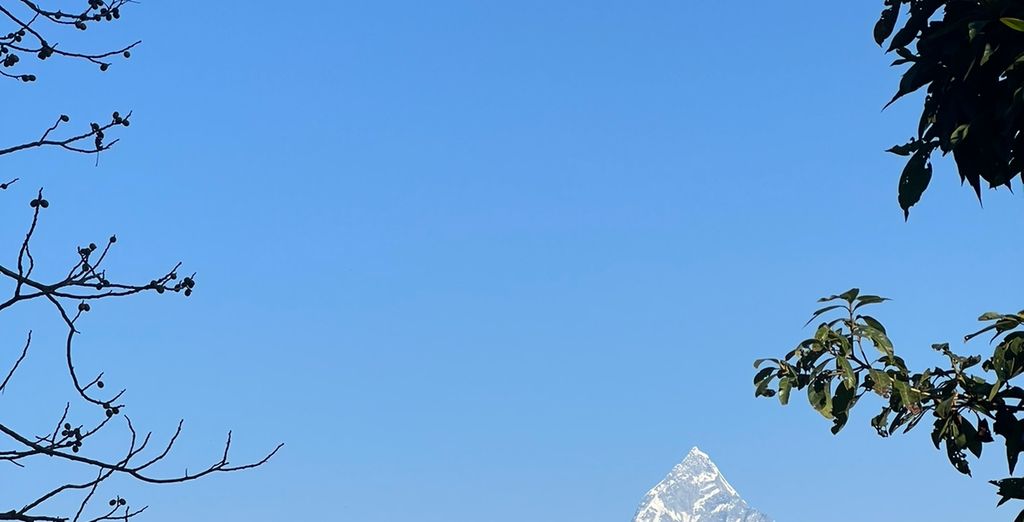Tour privato "I punti salienti del Nepal"