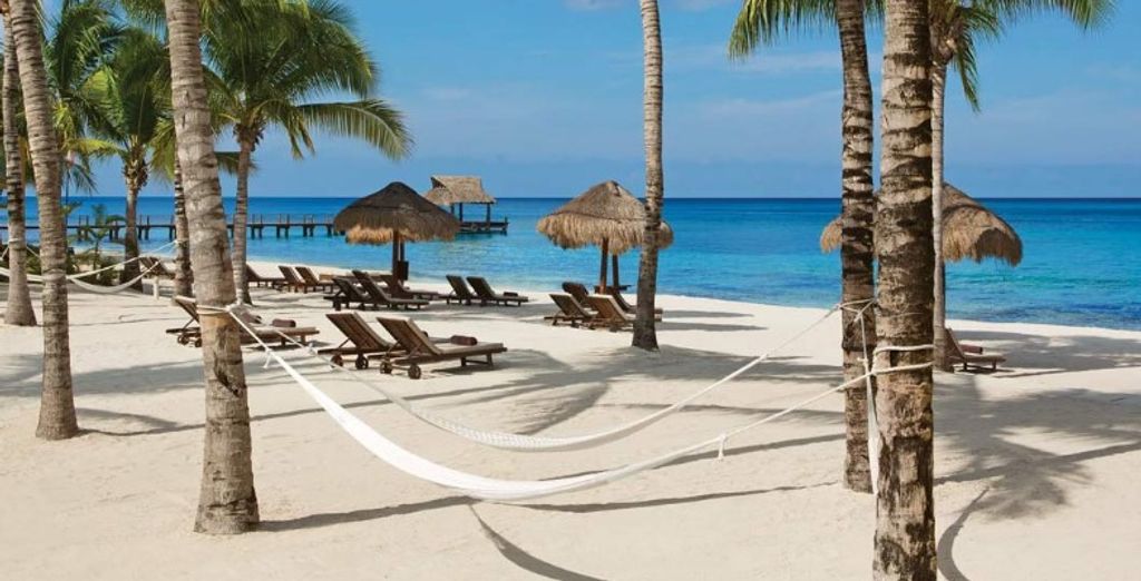 Secrets The Vine - Adults Only 5* con possibile estensione al Secrets Aura Cozumel 5* - Adults Only