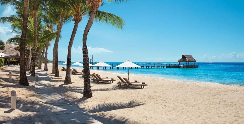Secrets The Vine - Adults Only 5* con possibile estensione al Secrets Aura Cozumel 5* - Adults Only