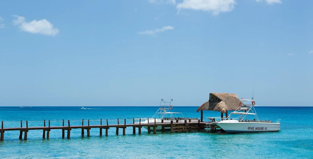 Secrets The Vine - Adults Only 5* con possibile estensione al Secrets Aura Cozumel 5* - Adults Only