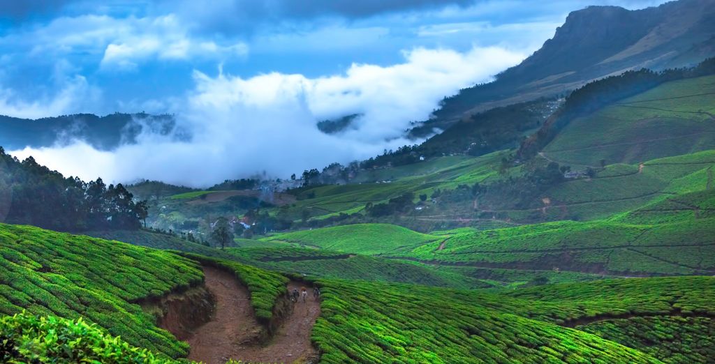 Tour privato alla scoperta del Kerala