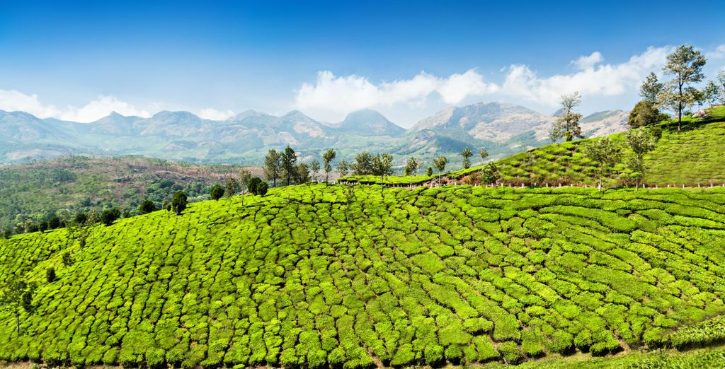 Tour privato: Tra le bellezze dell'Himalaya