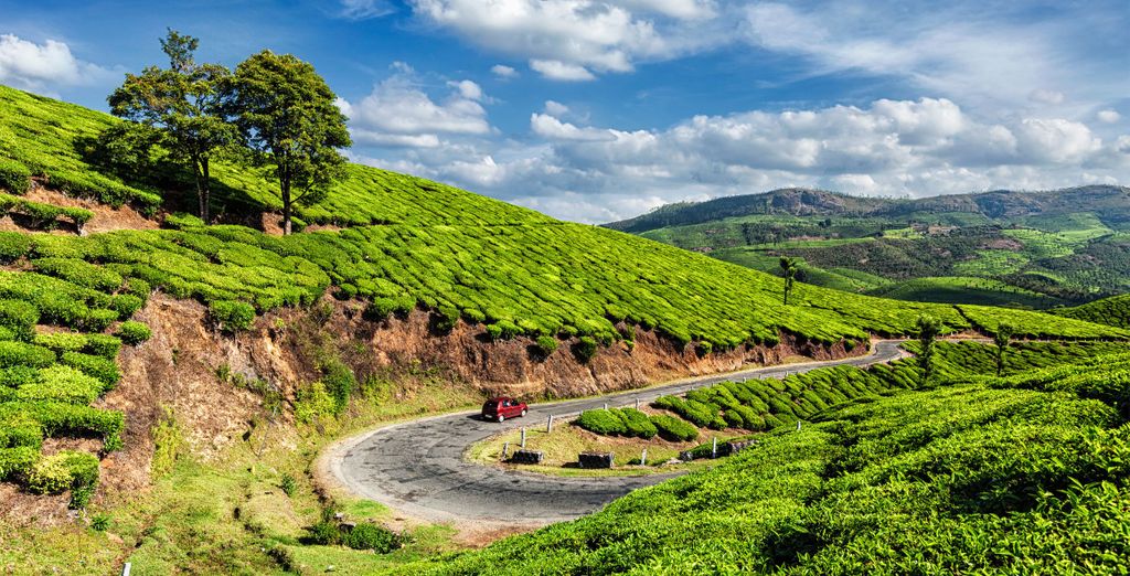 Tour privato alla scoperta del Kerala