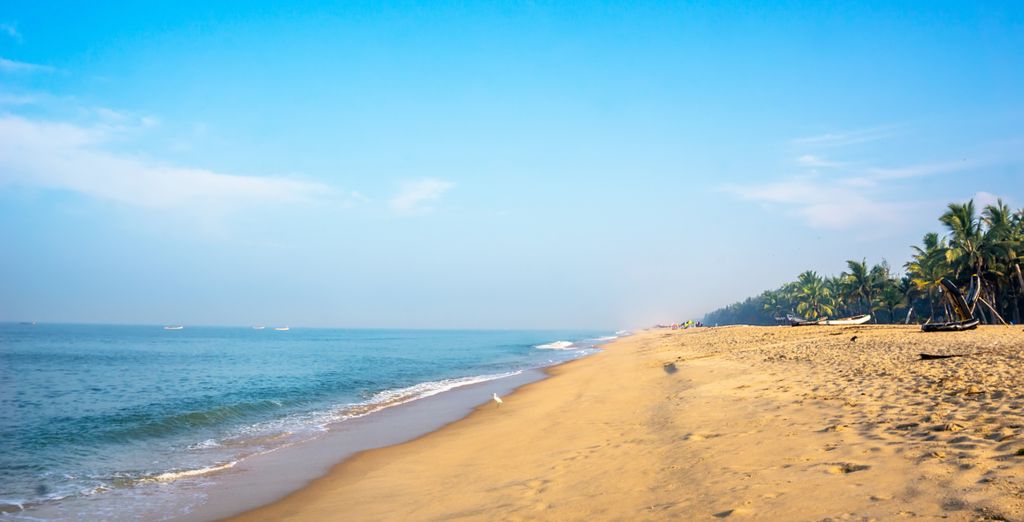 Tour privato alla scoperta del Kerala