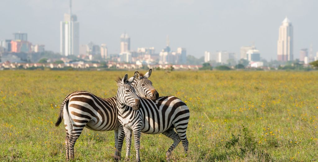 Circuit privé : Légendaire Kenya avec extension possible - Kenya - Jusqu'à -70% | Voyage Privé