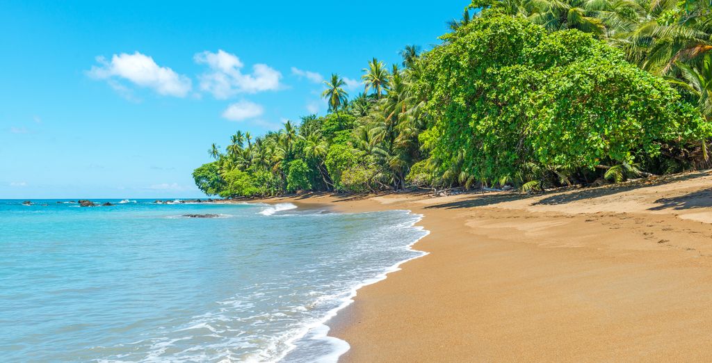 Autotour: Pura Vida in Costa Rica