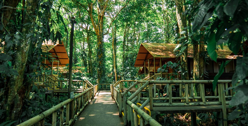 Autotour: Pura Vida in Costa Rica
