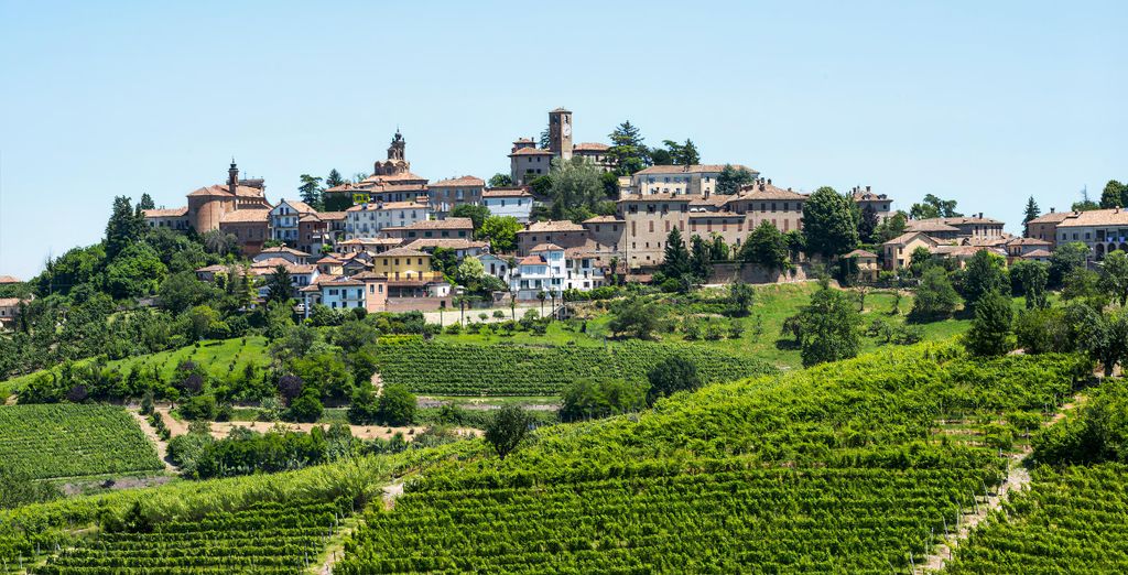 Tour "Vie del tartufo e Barolo"