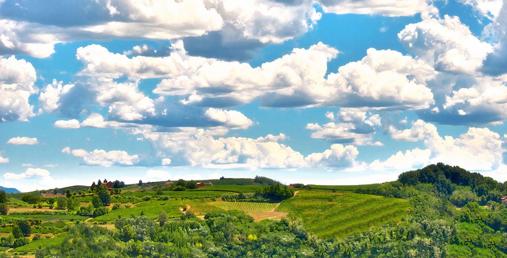 Tour "Vie del tartufo e Barolo"
