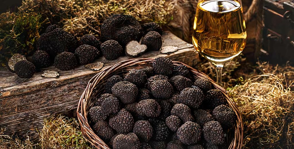 Tour "Vie del tartufo e Barolo"