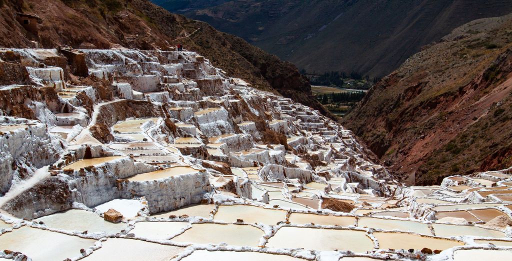 Circuito privado: Tesoros del sur de Perú en 11 noches - Extensión opcional al Amazonas