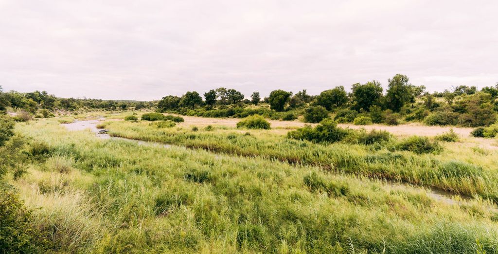 Tour alla scoperta della natura incontaminata