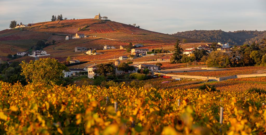 Château de Pizay 4*