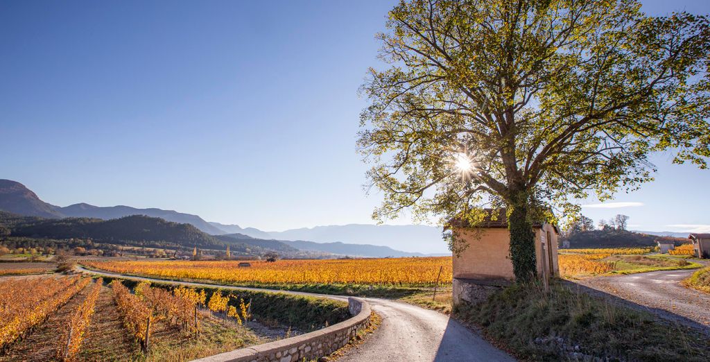Le Domaine Du Colombier 4*