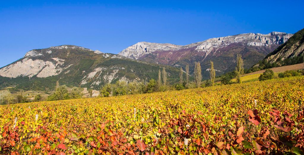 Le Domaine Du Colombier 4*