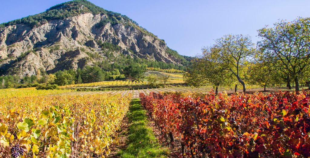 Le Domaine Du Colombier 4*