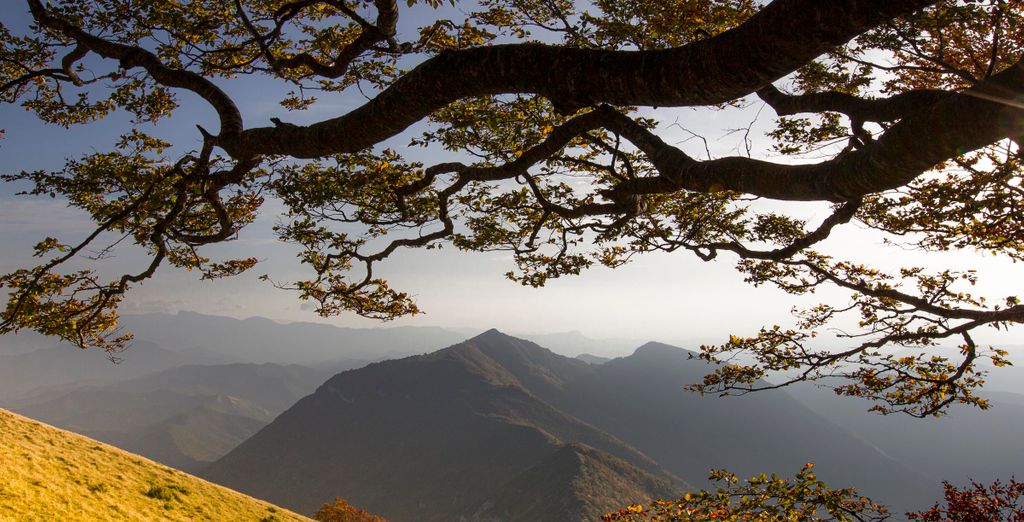 Le Domaine Du Colombier 4*