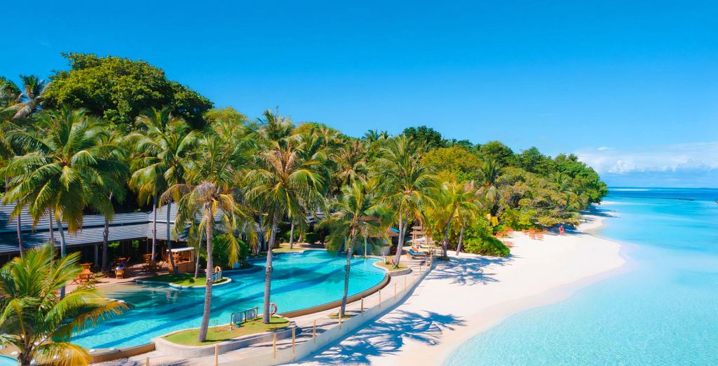 Tour privato: Viaggio a Ceylon ed estensione al mare alle Maldive