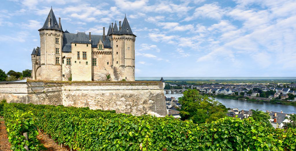 Hôtel Saint Pierre Saumur 4*
