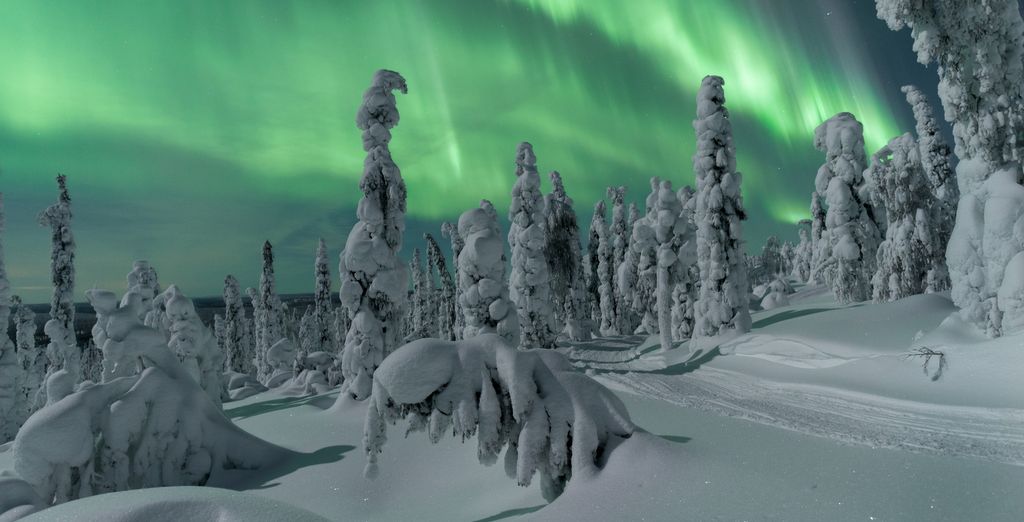 Suomu Chalets 4*